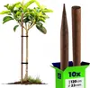 KADAX Holzstäbe 120 cm x 23 mm, 10er Set, Pflanzstäbe aus Produktbild-Vorschau 1