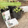 Several black fabric plant bags with plants growing in them, along with their packaging, are arranged on a stone patio. Podgląd zdjęcia produktu