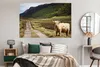 MuchoWow® Poster Schottische Highlander - Pfad - Wald Produktbild-Vorschau 4