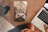 MuchoWow® Mauspad Mousepad Schottische Highlander - Gras - Produktbild-Vorschau 3