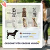 PawHut 2 in 1 passeggino per cani passeggino pieghevole per Anteprima dell’immagine prodotto 5