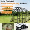 UISEBRT Premium Serre en aluminium 310x250x205cm, 7.75m² Voir les images du produit 4