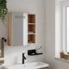 A bathroom scene featuring a mirrored cabinet above a sink. Náhled obrázku produktu