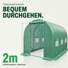 Folien Gewächshaus TOM GH-600 | 6 m² 200×200×300 cm (B×H×T) Produktbild-Vorschau 6