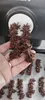 A hand holding chocolate-shaped cookie dough extrusions from a kitchen appliance. Voir les images du produit