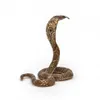 Papo- Figura Cobra Reale 5X5,5X6,6CM, Colore Beige - Anteprima dell’immagine prodotto 11