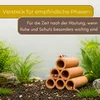 Aquariendeko Pyramide 6er Set Aquarium Deko Höhle Versteck Produktbild-Vorschau 6