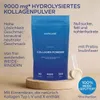 Aavalabs Kollagen Pulver | Typ I, III, V & X | 9300 mg | Produktbild-Vorschau 2