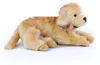 Peluche Golden Retriever 36 Cm Ecologico Anteprima dell’immagine prodotto 4
