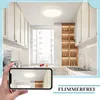 A hand holding a smartphone displaying a ceiling light in a modern kitchen. Anteprima dell’immagine prodotto