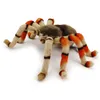 Plüsch Vogelspinne 21cm Spinne Realistisch Premium Deko Produktbild-Vorschau 1