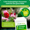 Purgrün Geraniendünger 1 Liter, Produktbild-Vorschau 4