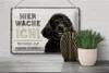 Blechschild Hinweis Pudel hier wache ich eigene Gefahr, 30 Produktbild-Vorschau 5
