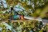 GARDENA combisystem-Bypass-Baumschere 00298-20 Produktbild-Vorschau 20