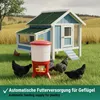 Agrarzone Futterautomat Geflügel mit Fressgitter 50 L Produktbild-Vorschau 3