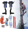 Baumkletter-Set - Klettersporen & Komplettausrüstung - Produktbild-Vorschau 5
