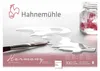 Hahnemühle Harmony Aquarell A 4 matt 12 Blatt 300 g Produktbild-Vorschau 1
