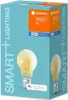 Osram SMART+ Filament Classic Dimmable, Intelligentes Produktbild-Vorschau 5
