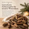 Fichtenzapfen Natur, 1 kg, 6 bis 12 cm, ca. 40 bis 50 Stk., Produktbild-Vorschau 5