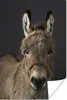 MuchoWow® Poster Portrait-Staffelei 40x60 cm - Plakate für Produktbild-Vorschau 2