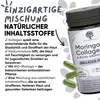 RedMoringa Hyaluronsäure Marine Kollagen Komplex + Moringa Produktbild-Vorschau 7