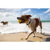 Waboba Dog Fetch giocattolo per cani 1s Anteprima dell’immagine prodotto 7