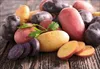 Korsch Kalender 2027: Rezeptkalender für die Küche mit Produktbild-Vorschau 5