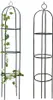 Pergola ogrodowa na kwiaty, róże kolumnowa Persian Yellow Podgląd zdjęcia produktu 9