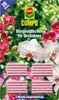 Düngestäbchen COMPO für Orchideen 20 St Produktbild-Vorschau 2