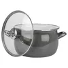A gray enamel pot with a glass lid is shown against a white background. Podgląd zdjęcia produktu