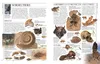 Steine & Mineralien Produktbild-Vorschau 10