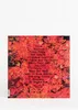 CREATE - ED SHEERAN - Vinyl - EQUALS (LP, wit) Productafbeelding-voorbeeld 8