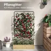 A planter box with a trellis covered in climbing plants, set against a light-colored wall. Voir les images du produit