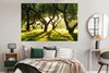MuchoWow® Poster Bäume - Natur - Sonne 180x120 cm - Produktbild-Vorschau 4