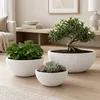 EDA Blumentopf / Pflanzschale Graphit - rund - Kunststoff - Produktbild-Vorschau 5