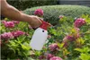 Drucksprüher Gartenspritze 2 Liter - Desinfektionssprüher - Produktbild-Vorschau 3