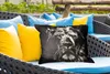 MuchoWow® Outdoor Kissen - Löwe - Tiere - Porträt - Produktbild-Vorschau 4