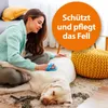Ardap Anti-vlooien shampoo voor honden, 250 ml Productafbeelding-voorbeeld 2
