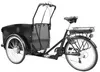 SachsenRAD E-Lastenrad T1, Flexible Transportbox mit Produktbild-Vorschau 3