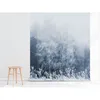Coloray Fototapete 250x250 cm Latextapete Magicstick - Produktbild-Vorschau 4