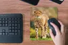MuchoWow® Mauspad Mousepad Wildtiere - Gras - Leopard - Produktbild-Vorschau 4