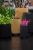 A collection of ribbed planters in gold and black, some containing plants. Produktbild-Vorschau
