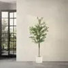 ML-Design umelý olivovník 180 cm, umelá rastlina s kmeňom z Náhľad obrázku produktu 8