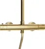 A close-up shot of a gold shower system with a thermostat and a shower hose. Náhled obrázku produktu