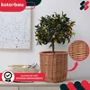 KOTARBAU® Cesto in vimini per piante Colore naturale Anteprima dell’immagine prodotto 2