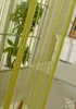Close-up of a green string curtain hanging in front of a window. Produktbild-Vorschau