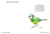Meine kleine Vogelkunde Produktbild-Vorschau 4