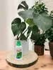 Pflanzenpflege Dünger - 0,55l - Für Monstera und andere Produktbild-Vorschau 3