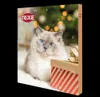 An advent calendar for cats with a picture of a cat on it, set against a Christmas tree background. Produktbild-Vorschau