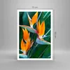 Poster - Poster ohne Rahmen - Himmlisch Vogel Blume - Produktbild-Vorschau 4